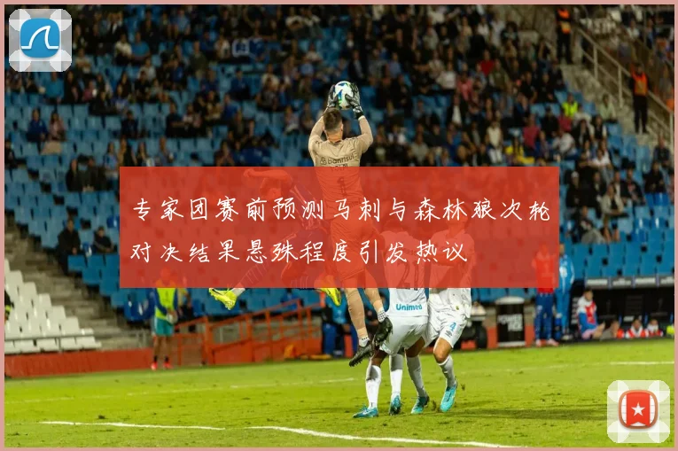 专家团赛前预测马刺与森林狼次轮对决结果悬殊程度引发热议