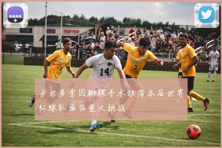 卡尔多索因脚踝手术缺席本届世界杯球队面临重大挑战